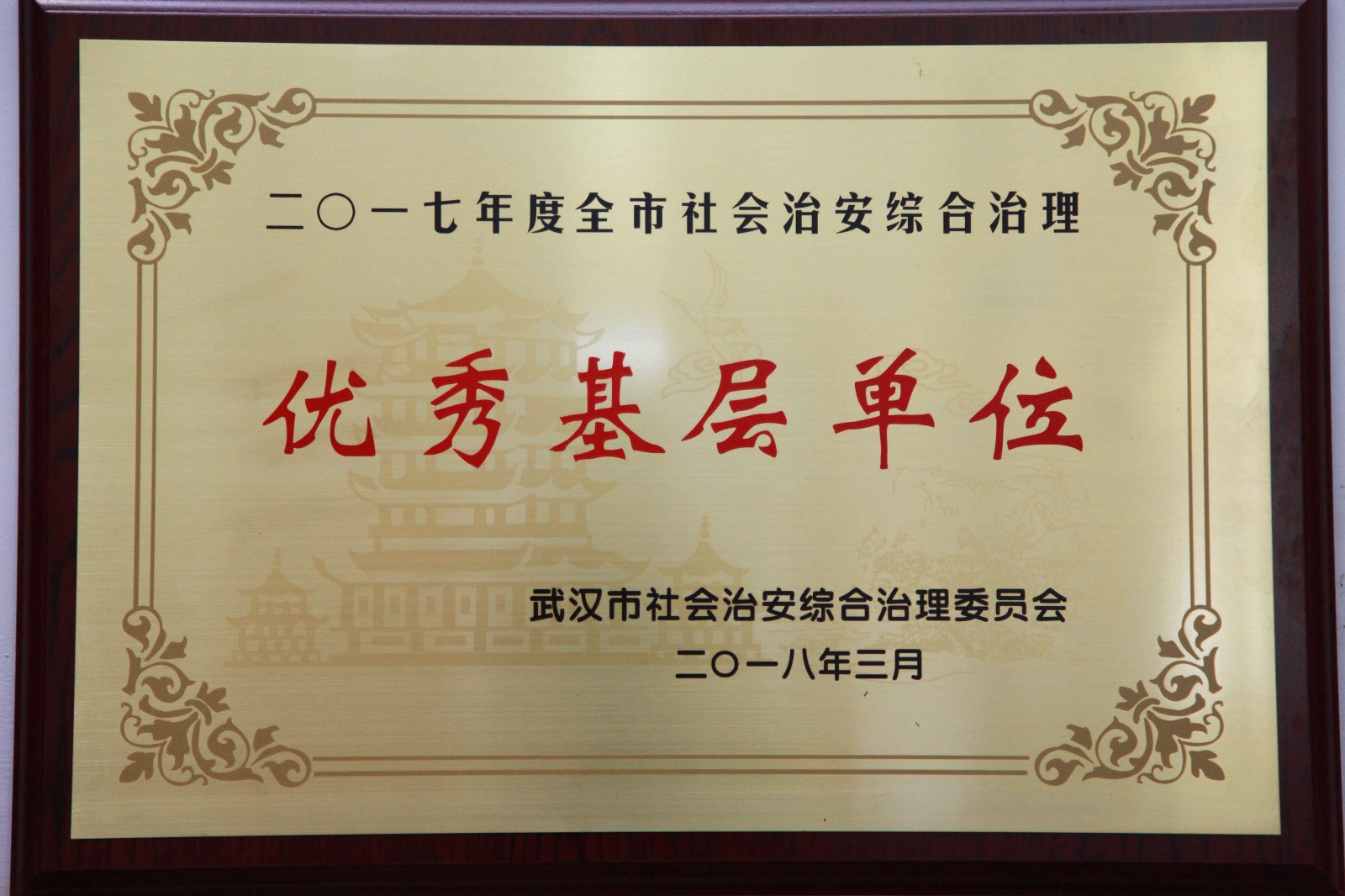 10175236xtth.JPG